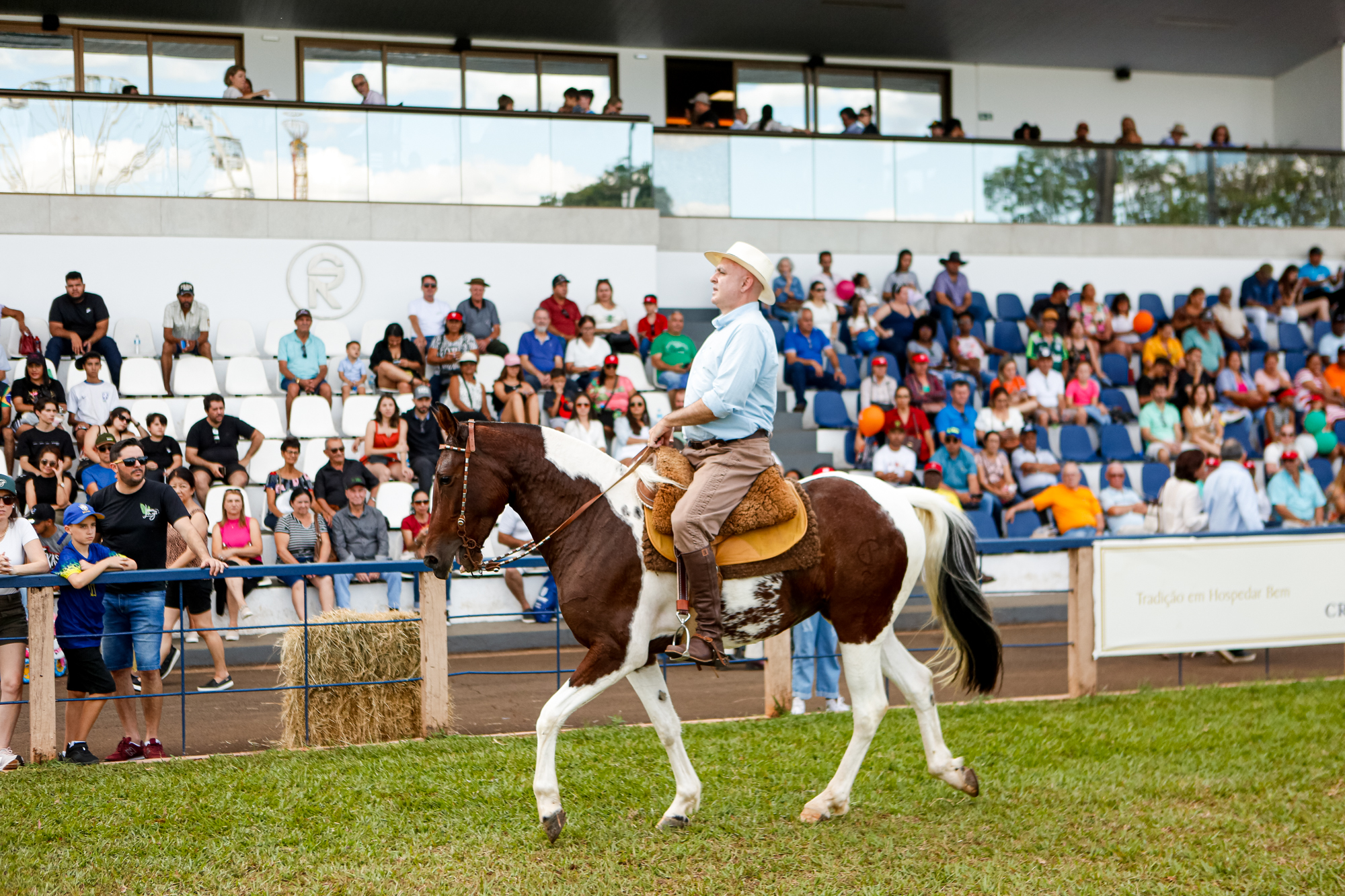 Cavalo Campeiro reúne dez animais em sua segunda participação na ExpoLondrina